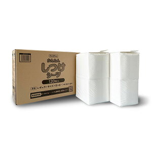 ybgvWp ybgv񂽂񂵂V[cM[ 120 4981528721225 L qpi V[c |}[V[c