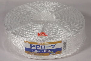 AClbg PP[v 8MMX100M IH-105-810 IH-105-810