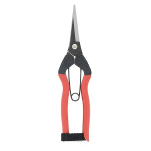 V ؁EE 185mm 4907052711549