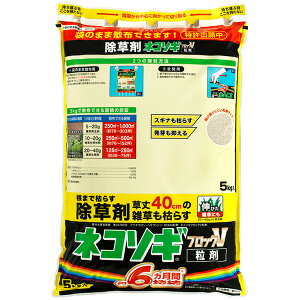 i摜