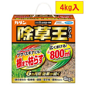 yyzt}L[ J_I[L[܁@4kg 4902424450118