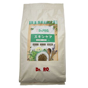 Dr.PROXLPAI[Xe[W5kg pt[h XhCE