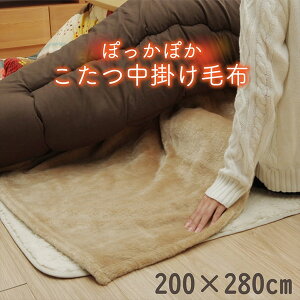 y[J[zCPqRER[|[V zcp |ѕz ` AN uE 200×280cm 1181380062840 􂦂