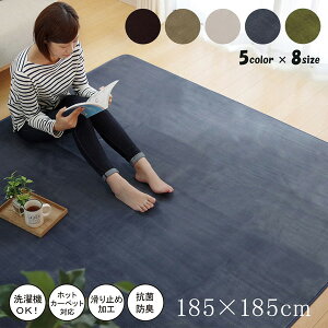 �y���[�J�[�����z ���O �J�[�y�b�g 2�� �􂦂� �R�� �h�L ���n�s�I�j�[ �u���[ 185×185cm �z�b�g�J�[�y�b�g�Ή� 1380000001373 �J�[�y�b�g ���O �}�b�g �O�~ ������� �V���v�� ���n ���r���O �Q�� 