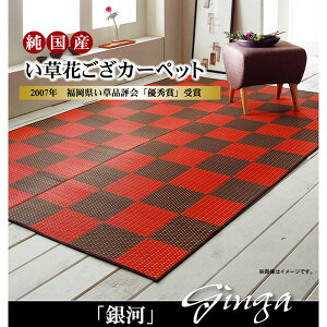 �y���[�J�[�����z �����Y �����Ԃ����J�[�y�b�g��� ���b�h �]�ˊ�6�� 261×352cm 1081590240602 �J�[�y�b�g ���O �}�b�g �O�~ ������� �V���v�� ���n ���r���O �Q�� ��l��炵 �V���� �͗l�ւ� �C