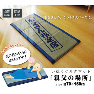 �y���[�J�[�����z �ł킽40mm���� ��������Q�t���[�}�b�g ���₶�̏ꏊ ��a �u���[ 70×150cm 1122140043501 �J�[�y�b�g ���O �}�b�g �O�~ ������� �V���v�� ���n ���r���O �Q�� ��l��炵 �V��