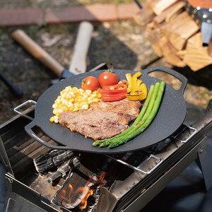CAPTAIN STAG�i�L���v�e���X�^�b�O�j ���E���h �O�����v���[�g 25cm UG-1597