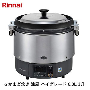 �����i�C �����܂ǐ��� ���~ �n�C�O���[�h 6.0L 3�� 13A �s�s�K�X�p RR-S300G2_13A