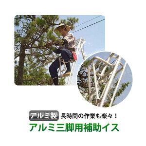 ~c:Orp⏕CX MIZRU01y[J[iz OrɎt邾ŒԂ̍ƂyXI iA~]iA _Ɓj ֗  _ C ɂ