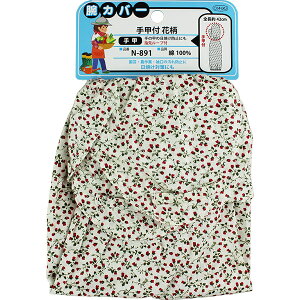 ӂ rJo[ bt ԕ N-891 | rJo[   N-891