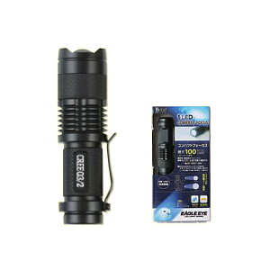 C`lANZX RpNgtH[JX 100LM P3dr×1{t 00087542 LEDCg