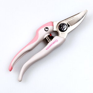 ߐ t[Xg v[i[S TS-77EXP \| | nT~