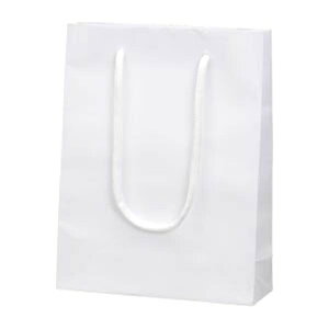 HEIKOiwCR[j uCgobO V OFc240×185×}`65mm 006138301 pi [ ML t@C 㐮  X W 6138301 i1}Cj 1801