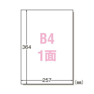 G[ PPC iRs[jx B4 100 B41 28208 pi [ ML t@C 㐮 ItBX 1 28208 01865