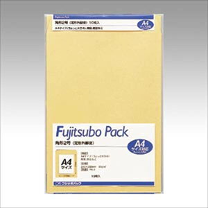 }AC كNtgpbN NtgEpbN 10 PK-2 pi [ ML t@C 㐮    NtgEpbN PK-2 20411