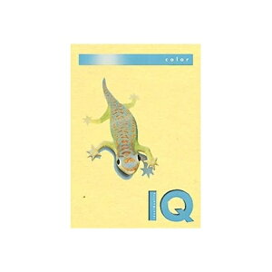 ɓ oCIgbvJ[ A4 500 80g 500 CG[ BT503 CG[ pi [ ML t@C 㐮 ItBX BT503 32227