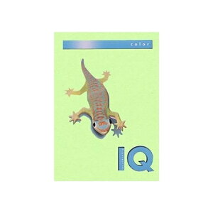 ɓ oCIgbvJ[ A4 500 80g 500 ~fBAO[ BT506 ~fBAO[ pi [ ML t@C 㐮 ItBX BT506 3223