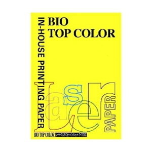 ɓ oCIgbvJ[ A4 100 80g 100 Ji[CG[ BT112 Ji[CG[ pi [ ML t@C 㐮 ItBX BT112 32242