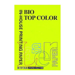 ɓ oCIgbvJ[ A4 100 80g 100 CO[ BT114 CO[ pi [ ML t@C 㐮 ItBX BT114 32246