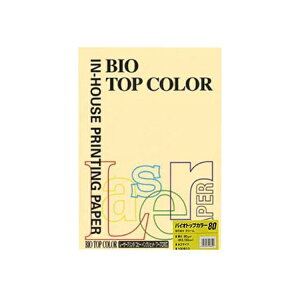 ɓ oCIgbvJ[ A3 100 80g 100 N[ BT201 N[ pi [ ML t@C 㐮 ItBX BT201 32318