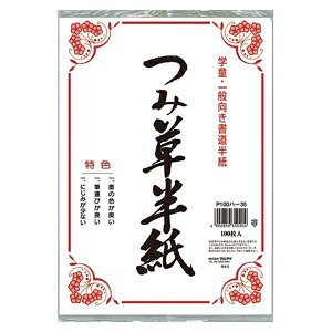 }AC ݑ 100 P100n-35 pi [ ML t@C 㐮 wK c  P100n-35 47850