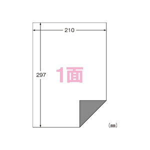 G[ xV[ iv^pjnC^Cv }bg 10 A41 31291 pi [ ML t@C 㐮 ItBX 31291 63594