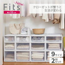 楽天市場】フィッツプラス 2段の通販