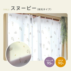 _yVC[OXӍ |Cg5{^yr[Tzyyz fMJ[eCi[2Zbg aOrA ΍ h ȃGl CՒf g[ Abv rj[J