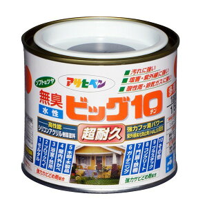 ATqy rbO10pr 1/5L X[gO[ 4970925592835 h yL pr