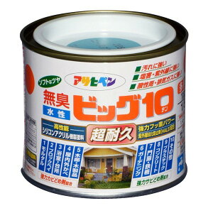 ATqy rbO10pr 1/5L j[XO[ 4970925592583 h yL pr