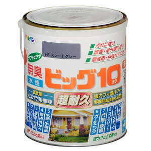 ATqy rbO10pr 1.6L X[gO[ 4970925592347