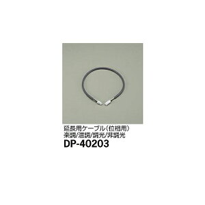 y[J[zd@ pP[u DP-40203