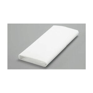 EBM 肾pbN i10j 5154900