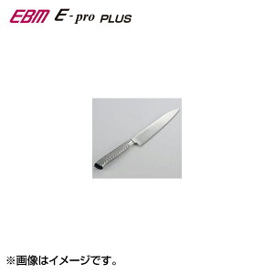EBM E-pro PLUS yeB[iCt 15cm O[ 8734640