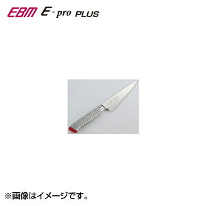 EBM E-pro PLUS XL p^ 15cm CG[ 8735430