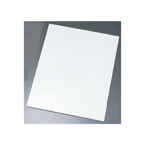 EBM AN P[Lv[g N^M[ 39cm 7947700