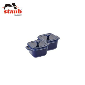 STAUBiXgEuj GNXg~j XNGARRbg i2j u[ 40511-099 0547920