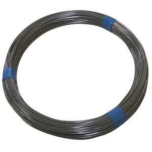 tWebNEWp XeXj 1Kg #10x16M 19952