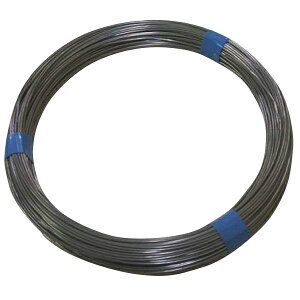 tWebNEWp XeXj 1Kg #16x63M 19955