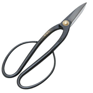 g  ~ 200MM 4977292627030