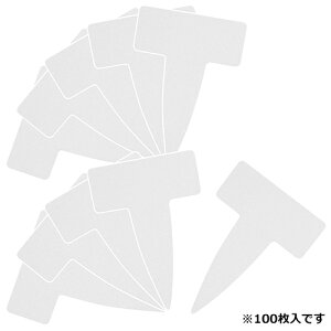 |px T^100 `E 4977292639507