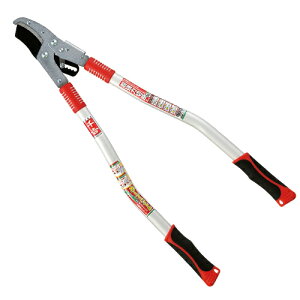 g `Fbg}J[uH SGFL-3R 4977292640176