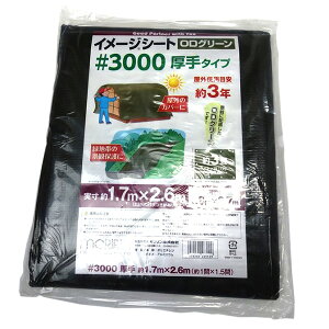 yyz #3000 C[W ODO[V[g 1.8X2.7 4979260483129