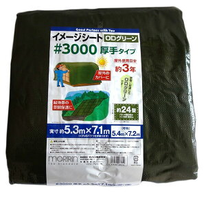 yyz #3000 C[W ODO[V[g 5.4X7.2 4979260483150