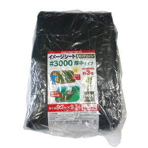  #3000 C[W ODO[V[g 10X10 4979260483167 sogyo2024 O h u[V[g | _ h Βn i 3000ODG1010