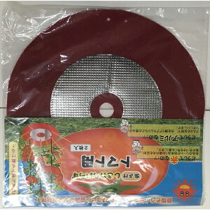 tHXg:悯炢炸g}gp 33cm 2 4582255212309 }` G Q _