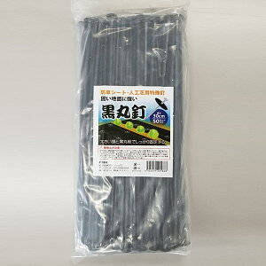 }cg hV[gp ۓB ەt 4522031201868