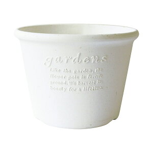  K[fYGR|bg^8 zCg iWHj 4966511237419 | e v | ϗt