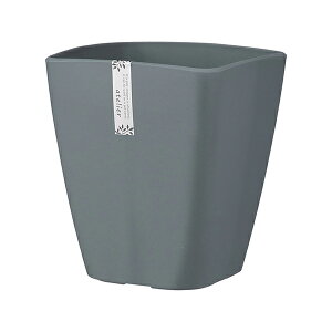 AbvEFA[ AgGXNGA 250^ _[NO[ 4905980114920