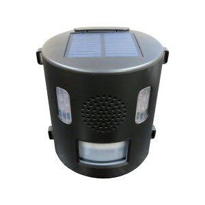 CeWp:Qbފ AjoN IJ-ANB21 4941306386251  앨 CmVV VJ lR T